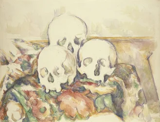 3つの頭蓋骨、1902年から2006年