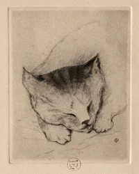 6つのエッチング：子猫の頭、1895年。