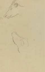 牛の頭 [右]