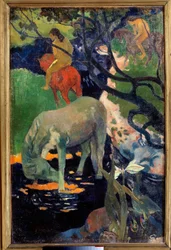 Le cheval blanc ポール・ゴーギャン（1848-1903）の絵画 1898年 日。1,4x0,91 m パリ、オルセー美術館 「白い馬」。ポール・ゴーギャン（1848-1903）の絵画 1898年1.4×0.91 m パリ、オルセー美術館