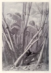 ガリバーは、ジョナサン・スウィフトによるガリバー旅行のフランス語版から、農場労働者を麦畑の尖塔と同じくらい高いところに見、隠れています