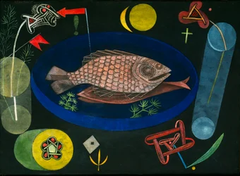 魚のまわり
