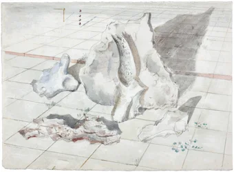 漂白された物体の風景のための習作