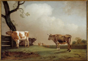 The meadow プリの中の牛の群れ。ポール・ポッター（1625-1654）による絵画 1652年 日0,84x1,21 m