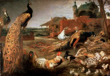 『クジャクの羽をまとったカラス』、1615-1690年頃