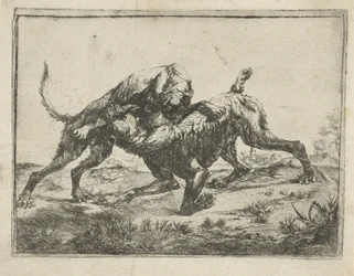 闘犬