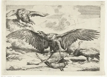 死んだ鹿をめぐって争う 3 羽のワシ Diversi uccelli (シリーズタイトル)