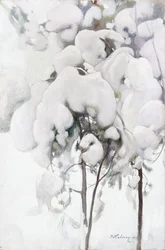 雪に覆われた松の苗木
