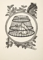 動物の百の逸話、パブからの難民のリス。 1924