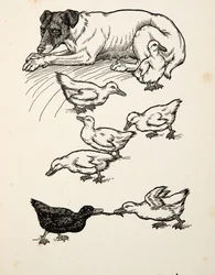 動物の百の逸話、パブからの単数の里親母。 1924