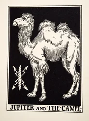 木星とラクダ、イソップの百寓話、pub.1903