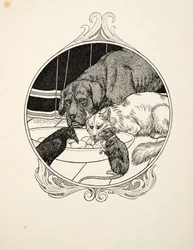 動物の百逸話、パブから奇妙な友愛。 1924