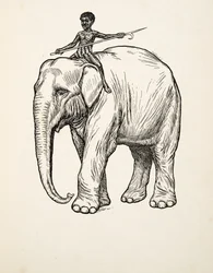 動物の百話、パブからの反省。 1924