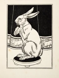 動物の百の逸話、パブから飼いならされたウサギ。 1924