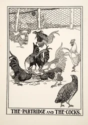 パートリッジとコック、イソップの百寓話、pub.1903から
