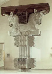 アパーダナの柱からのペルシャ様式の首都、イランスーサのダライアス大王宮殿、紀元前500年頃（石灰岩）（71508も参照）