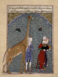 エジプトのスルタンアルナシルファラジイブンバルクク大使は、キリンを含むトリビュートの贈り物をティムールに贈りました。