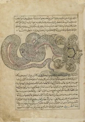 海蛇ドラゴン（al-Tannin）、アルカズビニ、イラク、東トルコによるAjaib al-makhluqat（Wonders of Creation）のフォリオ（紙に不透明な水彩、インク、金、銀）