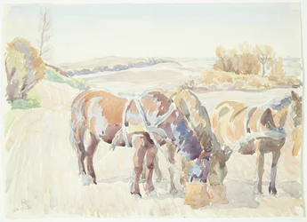 野原の馬