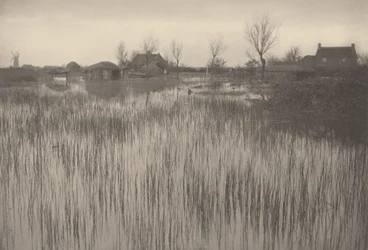荒涼とした海岸、1886年（写真）