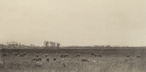 北海の湿原、1890年～1891年、1893年印刷。