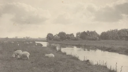 ブレ川にて、1886年（写真）