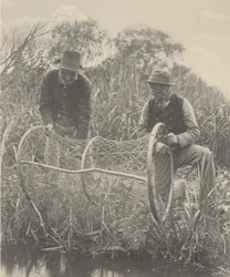 ボウネットを張る1886年（写真）
