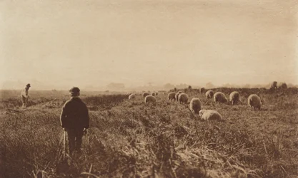1890年から1891年にかけての6月の湿原、1893年に印刷されたもの。