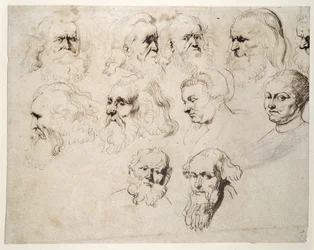 髭を生やした老人の頭の習作7点、他に異なる男性の頭の習作2点、帽子をかぶった女性の習作2点、1616年頃（紙にチョークを含むペンとインク