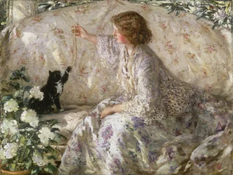 アジサイ、1901