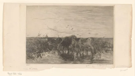 牧草地の水の近くの牛 Vaches au bord de l