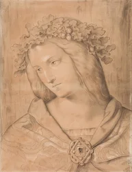 ゲルマニア、半身像、フレスコ画の研究（写真番号23678を参照）