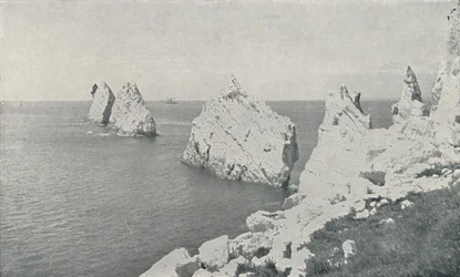 針、1910