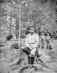 ツァールスコエ・セロでボリシェヴィキに捕らえられたニコライ2世