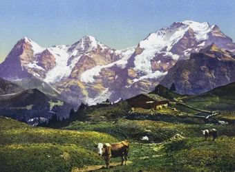 アイガー、モンチ、ユングフラウ（写真）