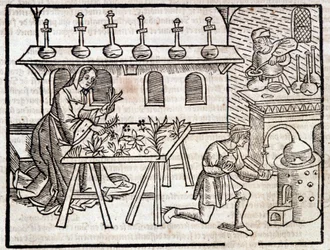 植物とその美徳による医学 - ピエール・ド・クレセント著「Des profit champêtres et ruraux」（パリ