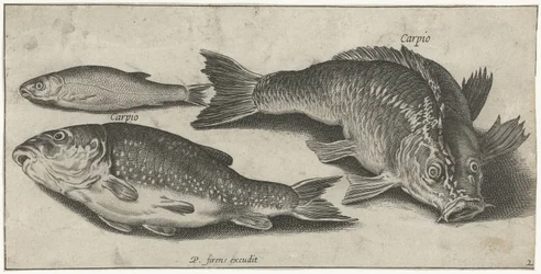 三匹の鯉 釣り（連載タイトル） Piscium v​​ivae アイコン (シリーズ タイトル)