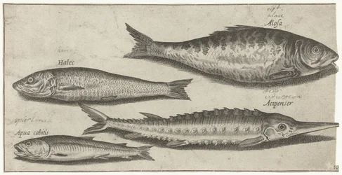 シャッド、チョウザメ、ワカサギ、ニシン 釣り（連載タイトル） Piscium v​​ivae アイコン (シリーズ タイトル)