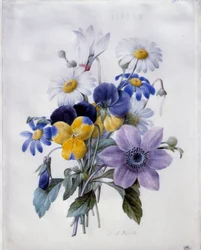 花のブーケ：クレマタイト、ソート、デイジー、シクラメン。ピエール・ジョセフ・ルドゥー（1759-1840）による水彩画 19世紀 日0,19x0,18 m パリ、ルーヴル美術館