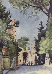 パラティーノについて