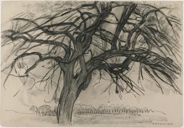 夜の予備調査：The Red Tree、1908（紙に黒いクレヨンと木炭）