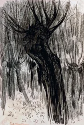 ウィロー、1902-1904、