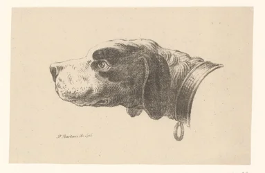 首輪付き犬の頭
