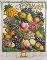 10月、「果物の12か月」より、ロバートファーバー（c.1674-1756）、ヘンリーフレッチャー作、1732年（色の彫刻）