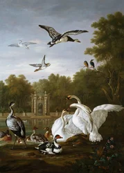 公園内の白鳥、アヒル、その他の鳥