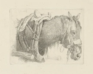 馬の頭の研究