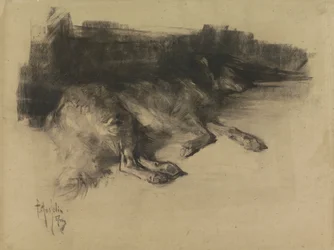 横たわって、眠っている犬