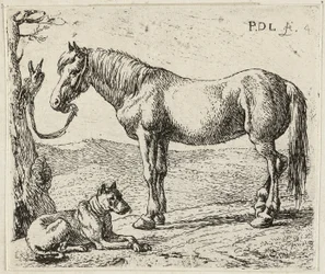 馬と犬