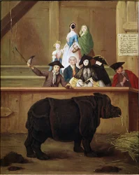 犀：クララ、インドサイの展示。ピエトロ・ロンギ（1702-1785）の絵画。1751.18世紀のヴェネツィアの美術館。カ・レッツォーニコ、ヴェネツィア