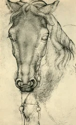 馬の頭、c1420-1455、1943年。